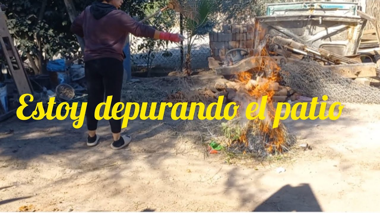 Limpieza y depuración del patio🙌🧹