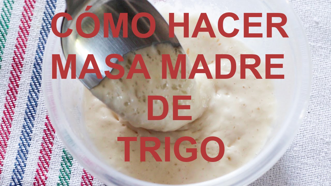Cómo hacer masa madre. Paso a paso
