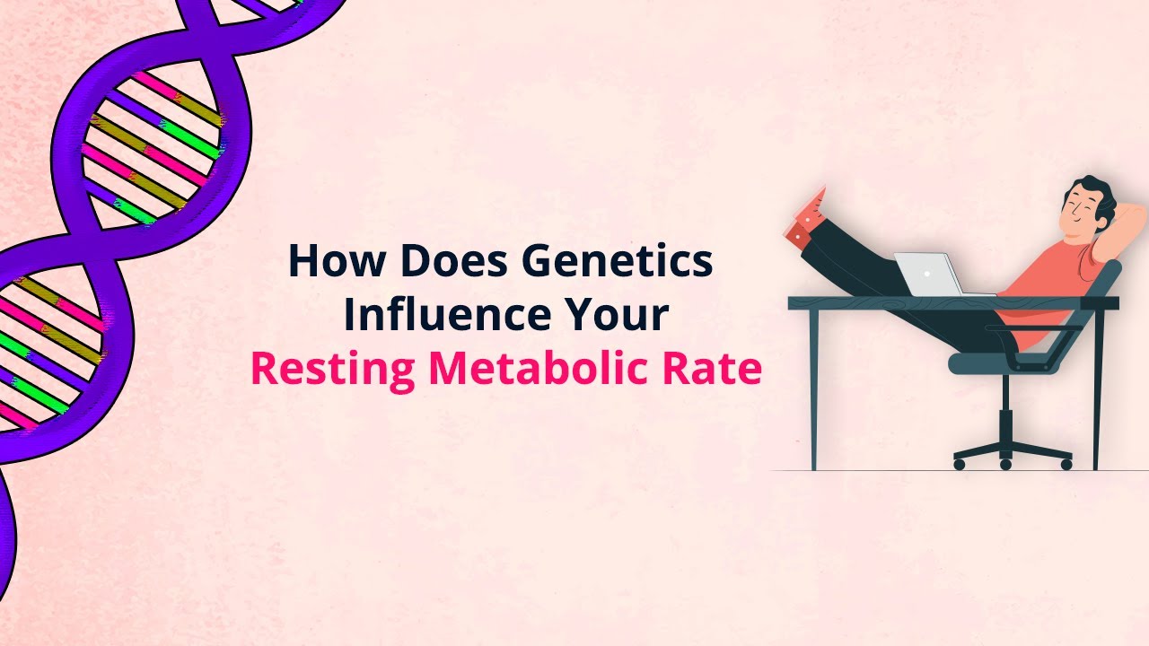 How To Burn More Calories At Rest? All About Resting Metabolic Rate