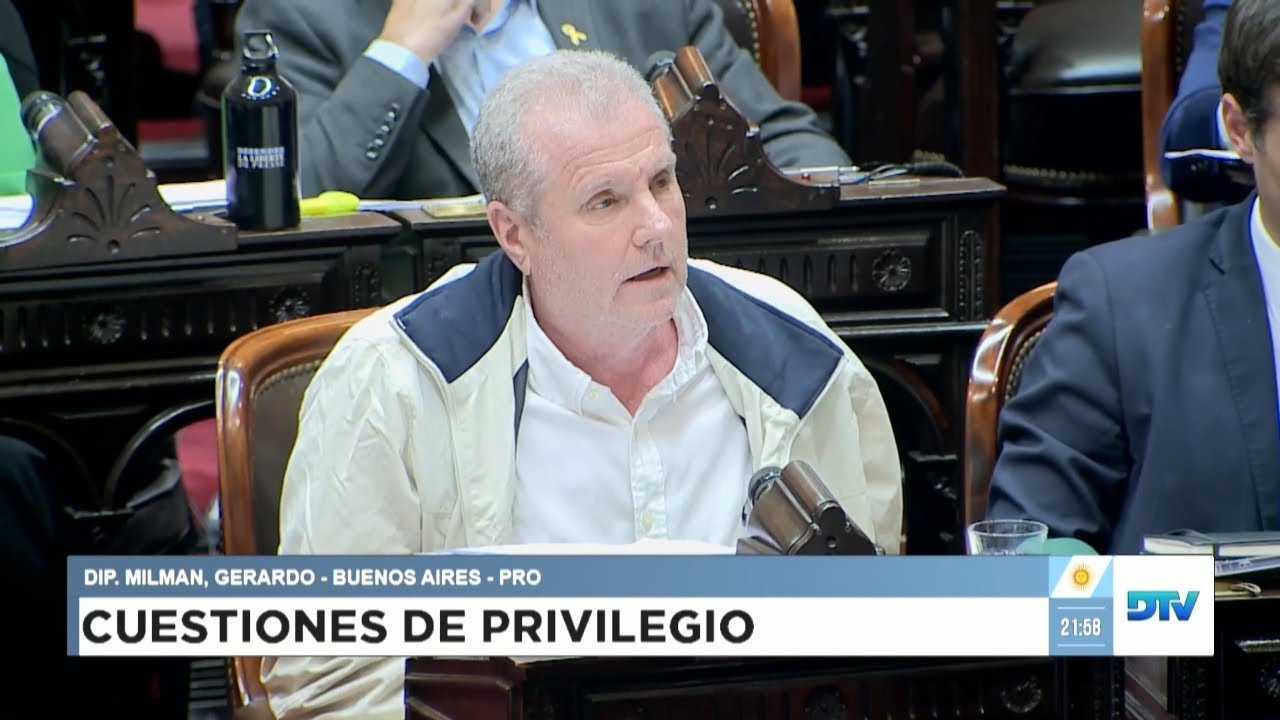 Diputado Milman, Gerardo - PRO - Sesión 04-06-2025 - CP