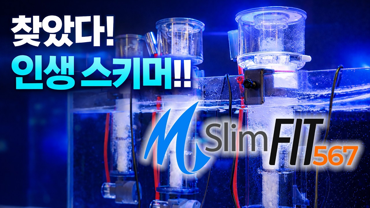 찾았다! 인생 스키머!! 마린코스트 슬림핏 스키머 567 리뷰