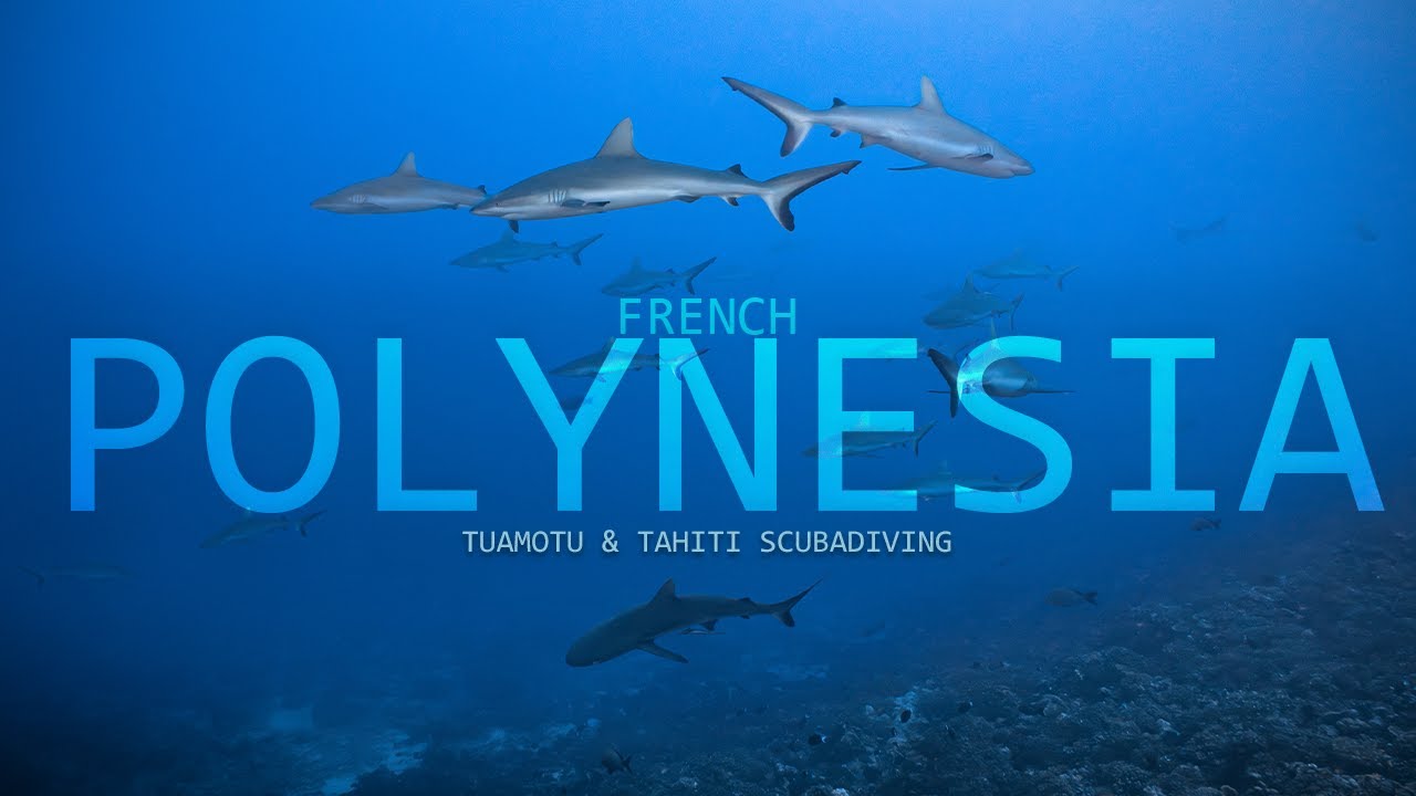 French Polynesia scuba diving - Rangiroa, Fakarava, Tahiti