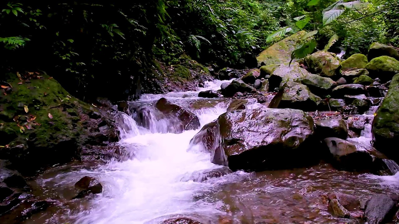 Mountain Stream for Anxiety Calm | Soothing Forest Water Sounds