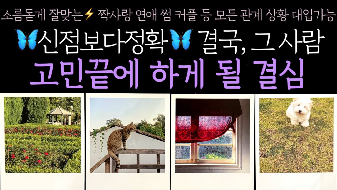 [타로] 🦋신점보다정확🦋 결국, 그 사람 고민끝에 하게 될 결심