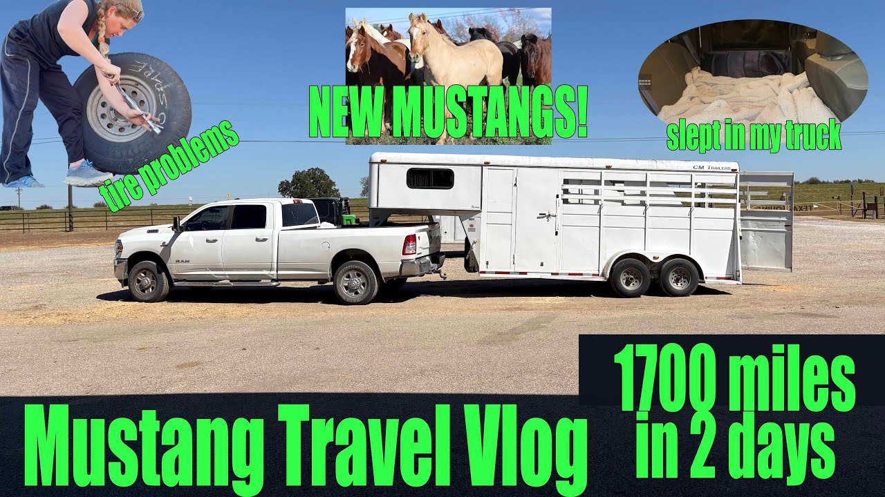 Видеоблог Mustang Travel | 1700 миль за 2 дня!