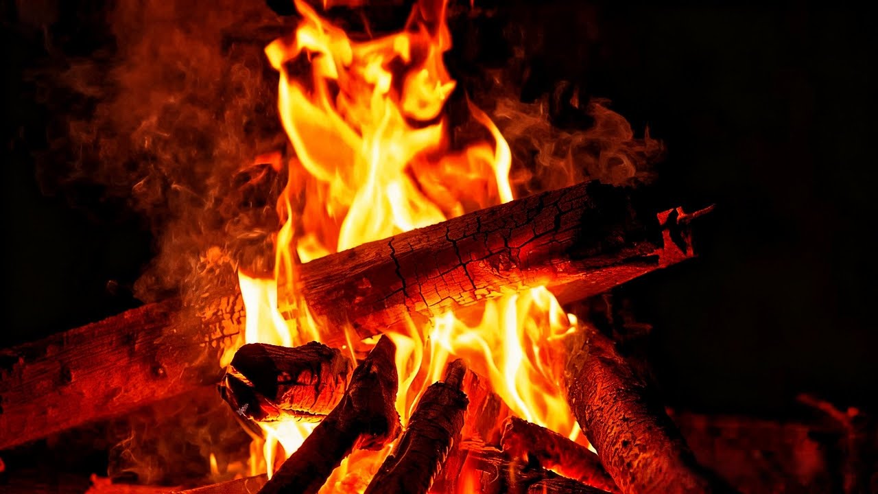 LIVE 🔥 Campfire Sounds 24/7 | Cozy Fire Crackling for Sleep & Relaxation