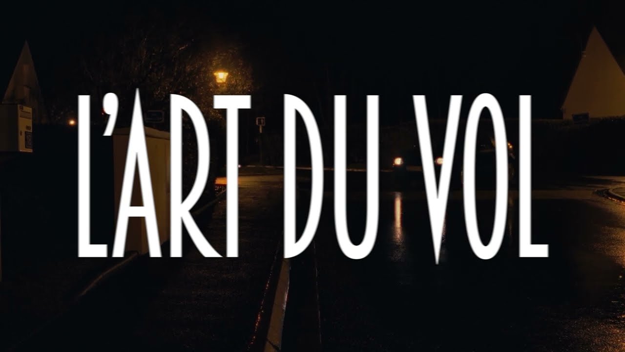 L'ART DU VOL