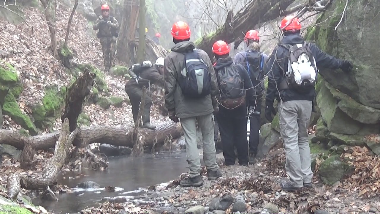 Tarjánka-szurdok a Mátra fokozottan védett patakvölgye. (2020)