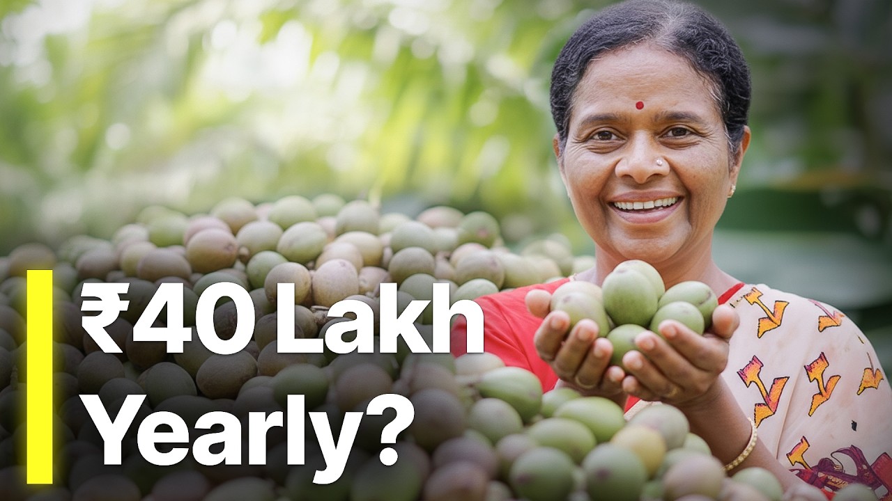 How Shivamogga Farmers Earn 40 Lakhs From Supari Farming | Areca Nut Business in Karnataka