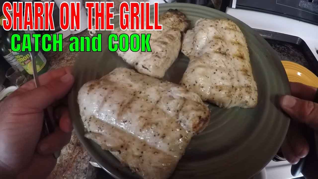 GRILLED SHARK CATCH AND COOK