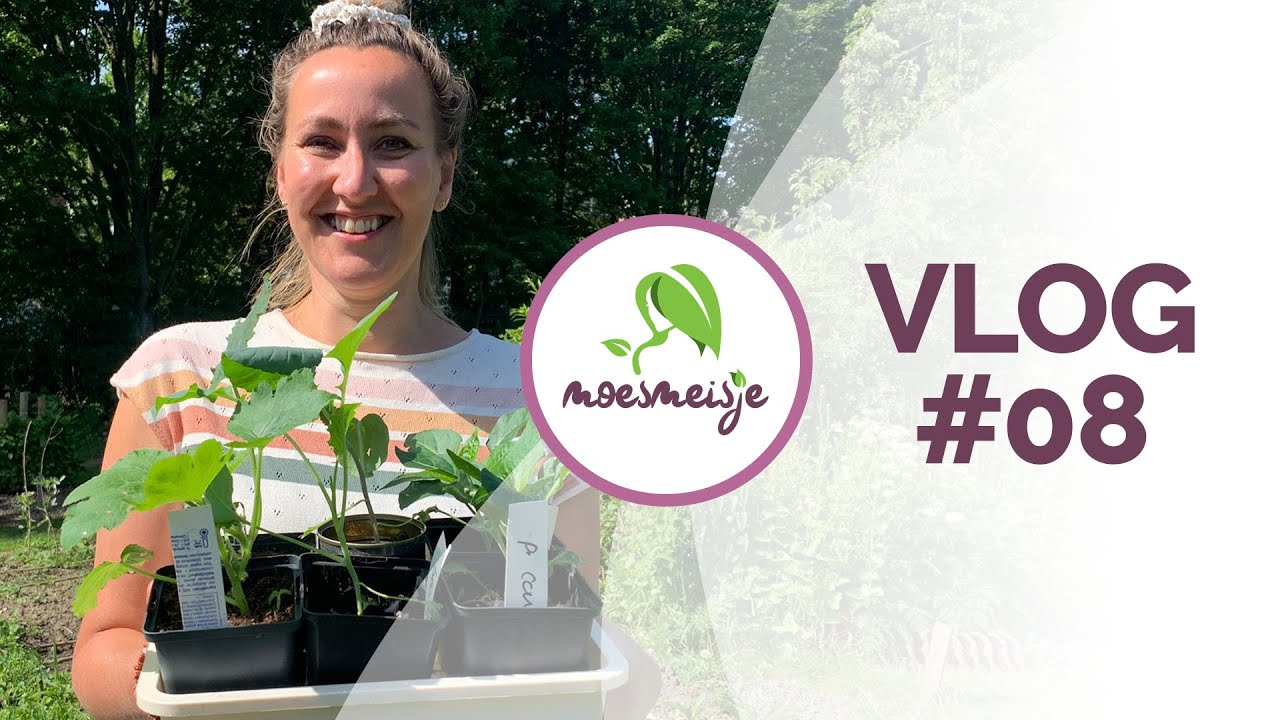 MOESTUINVLOG #8 | Moestuin in mei | Zaaien en uitplanten in mei