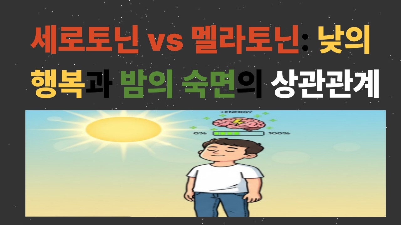 세로토닌 vs 멜라토닌: 낮의 행복과 밤의 숙면을 결정하는 호르몬의 상관관계