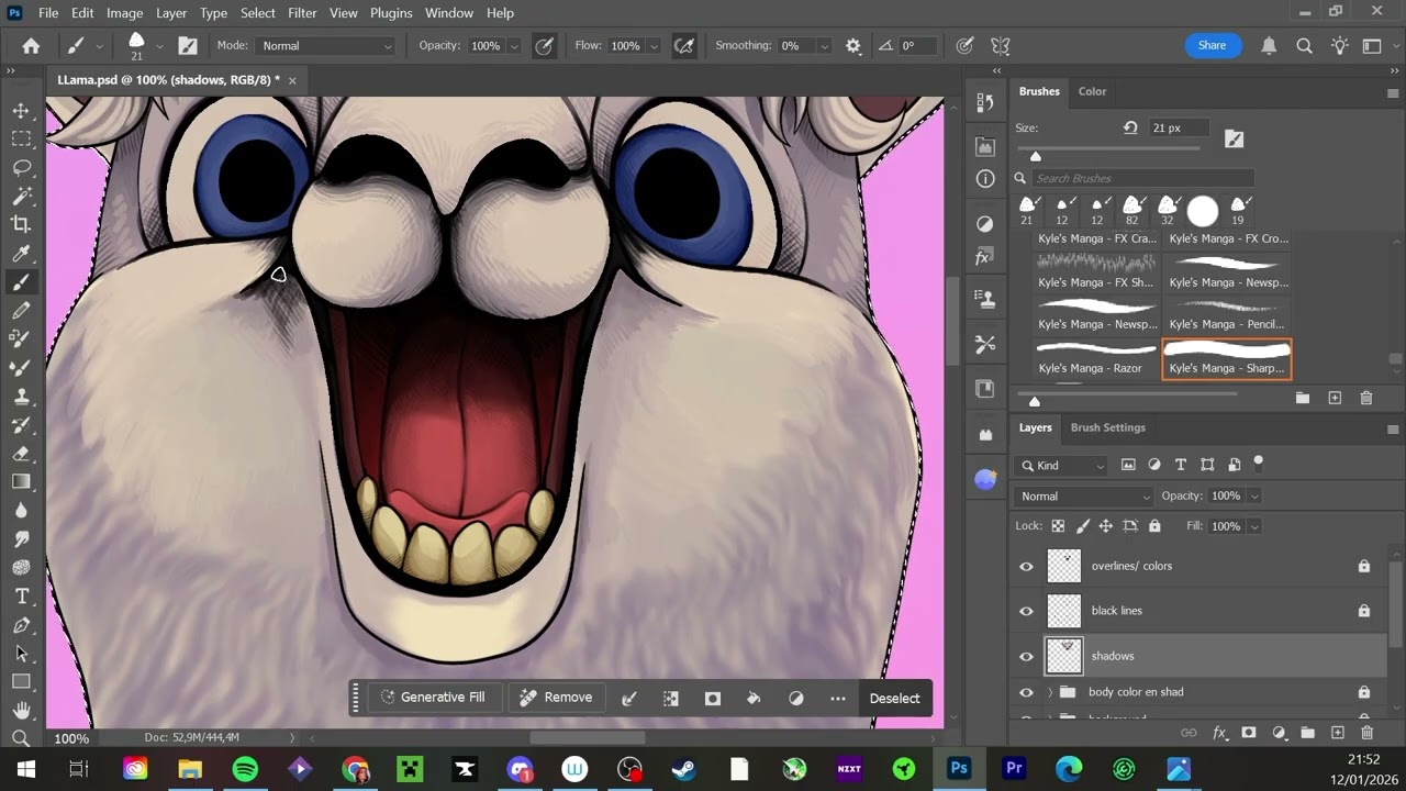 FINISHED LLAMA BASHIR