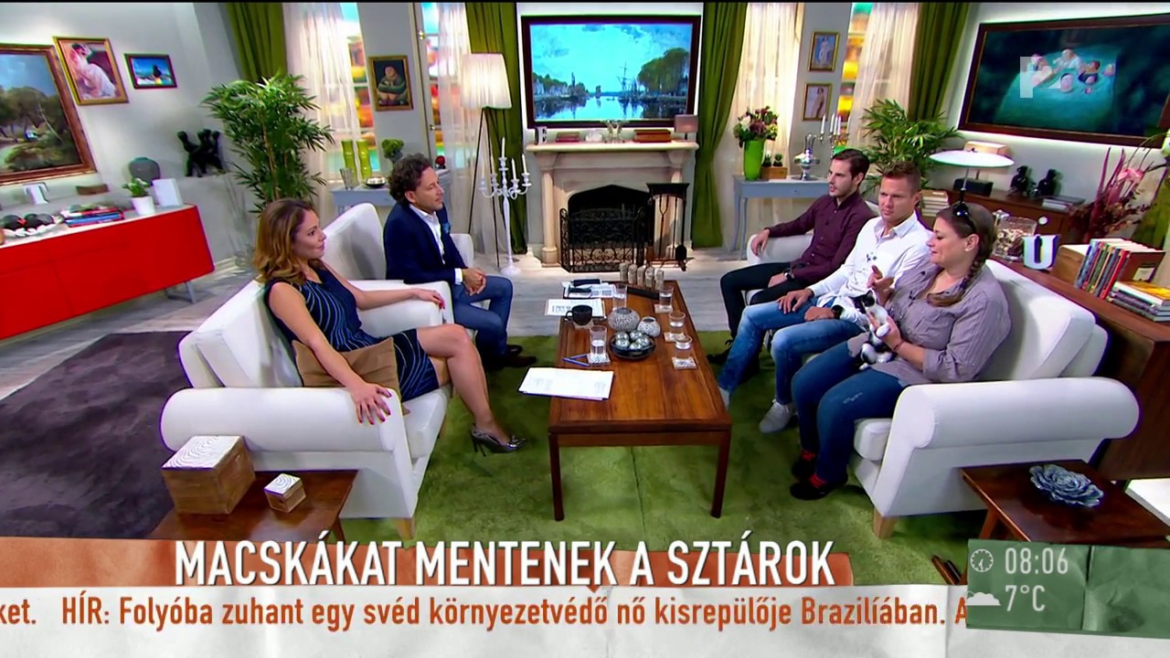 Cicákat mentenek az izmos, jóképű sportolók és színészek - tv2.hu/mokka