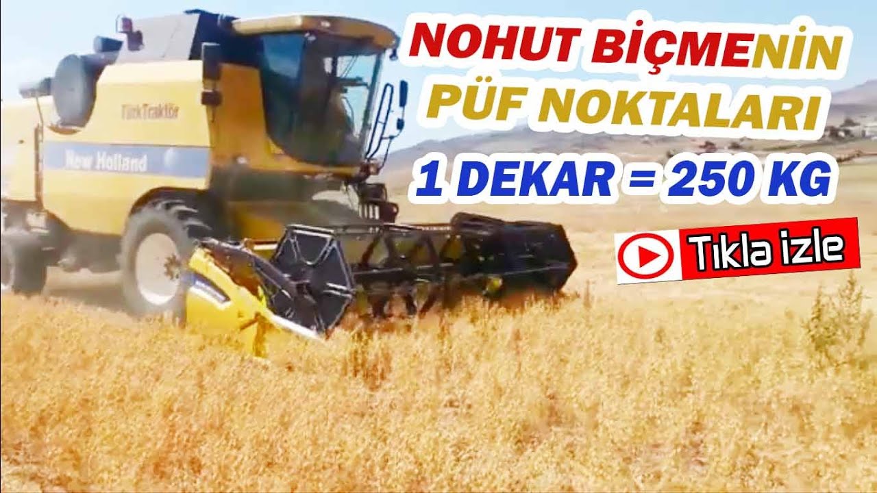 Nohut Hasatı -  İlk Defa Yapacaklar İçin