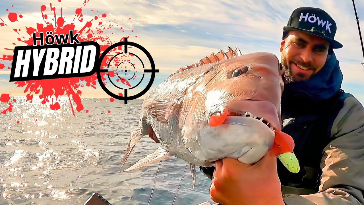 Dura pesca invernal con vinilos [𝗛𝗬𝗕𝗥𝗜𝗗 𝗚𝗟𝗜𝗧𝗧𝗘𝗥 𝗣𝗜𝗡𝗞] DENTEX GIBBOSUS •Vlog14•