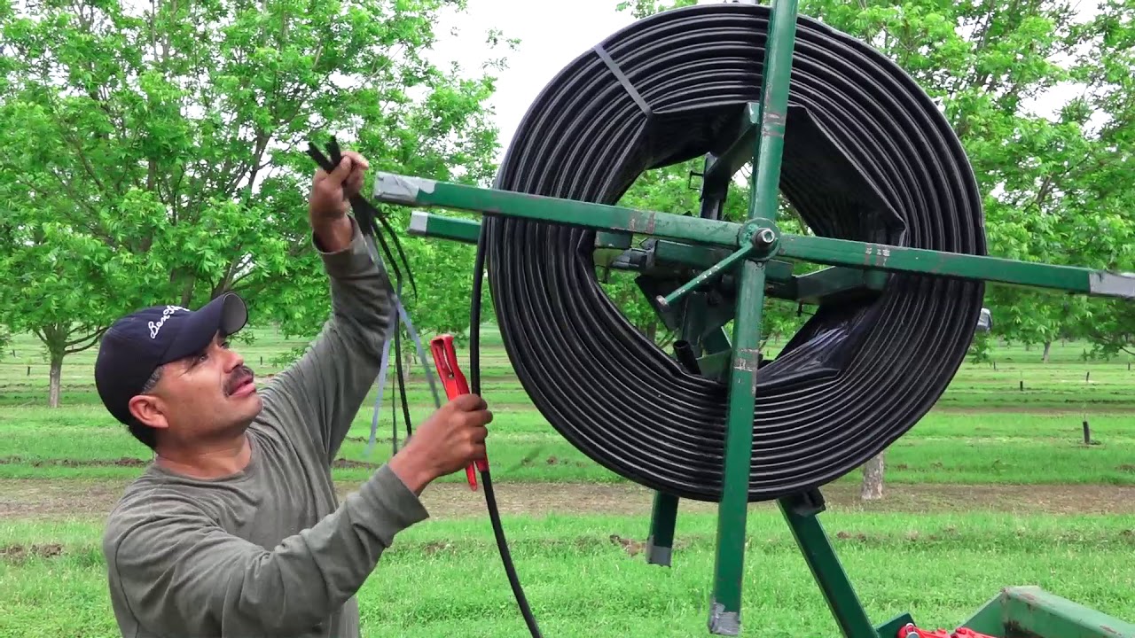 Drip in pecan orchards