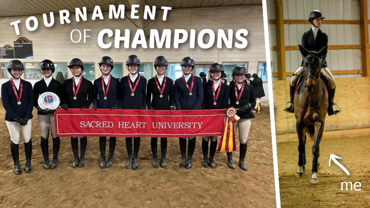 college equestrian team SHOW vlog!!