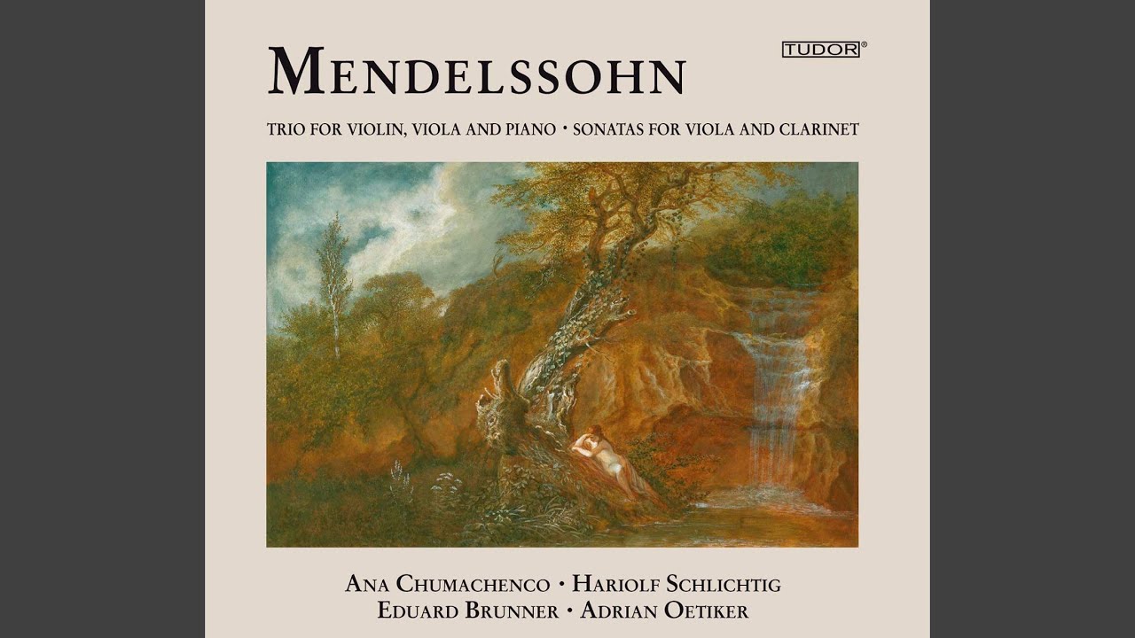 Viola Sonata in C minor, MWV Q14: II. Menuetto: Allegro molto