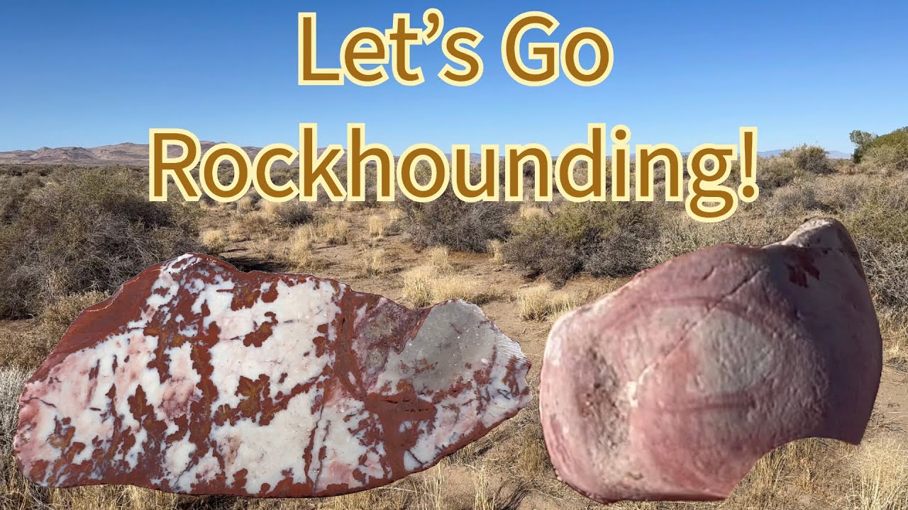 Rockhounding in N Nevada! Finding Rocks like Wonderstone, Jasper & Cutting One Open!