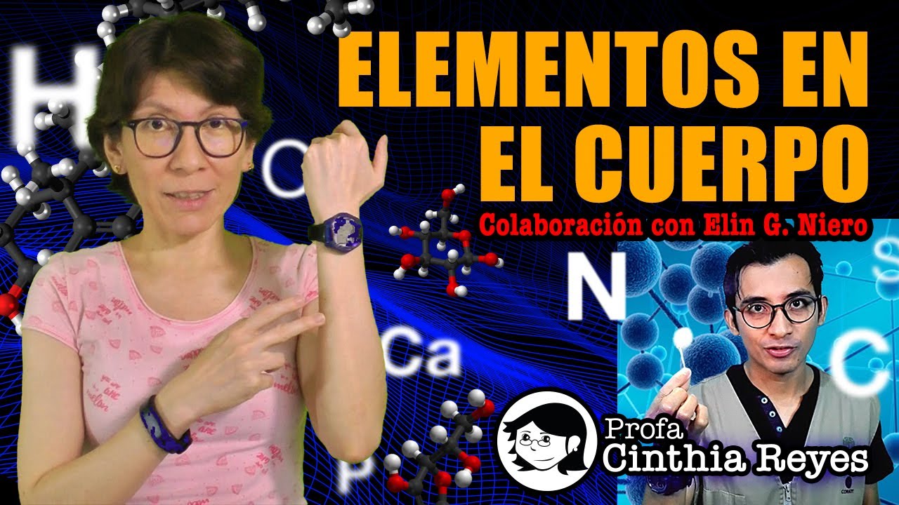 ¿Qué elementos encontramos en el cuerpo humano? 🏃‍♀️🌮