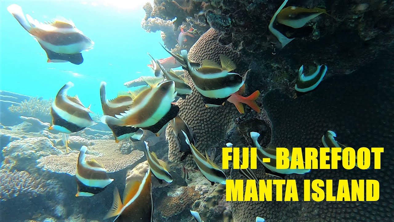 TRAVEL FIJI!!! Drawaqa Island (Barefoot Manta)