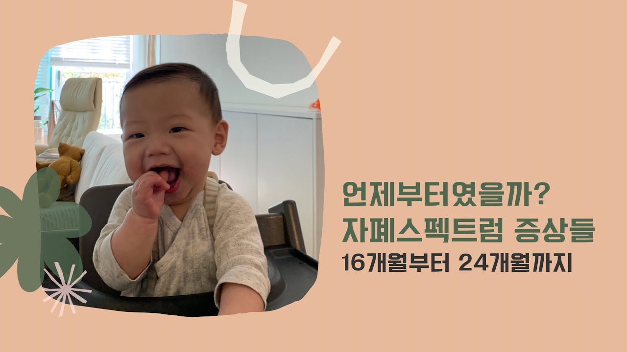 자폐스펙트럼은 언제부터였을까 / 16-24개월 /