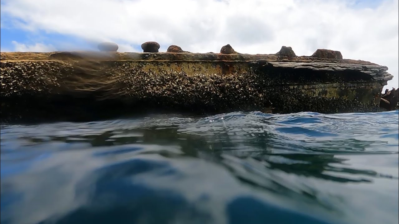 Snorkelling Around Shipwrecks at Morton Island!!