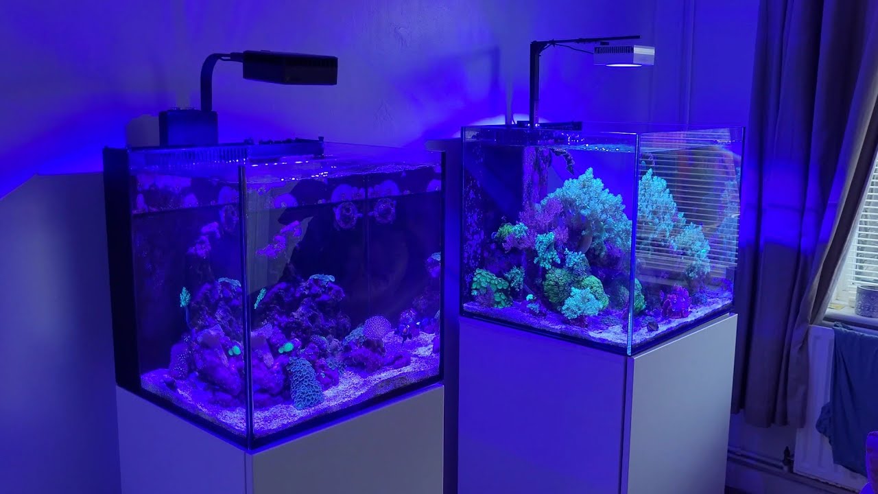 Red Sea Max Nano & Aquaone Reefsys 2025 update