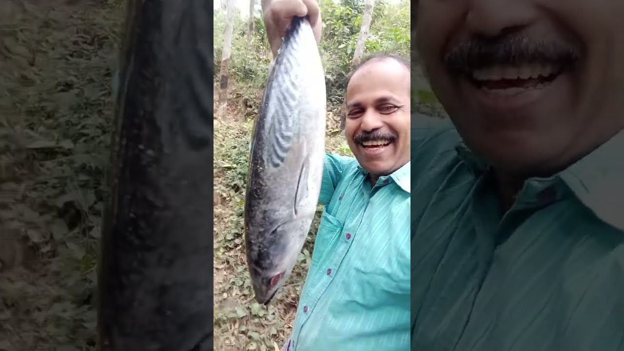 ചൂര മീൻ കണ്ട് ലത ദേഷ്യപ്പെട്ടുവെങ്കിലും പിന്നീട് 😆