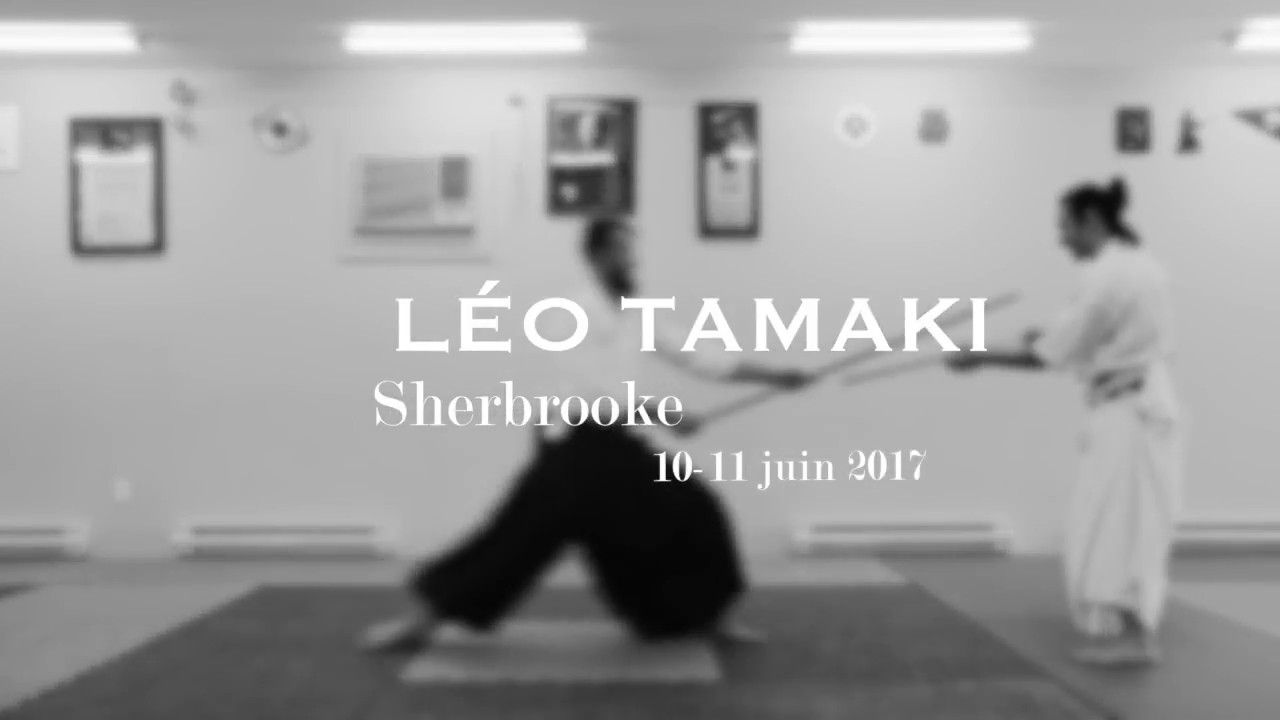 Leo Tamaki, Aikido Kishinkai