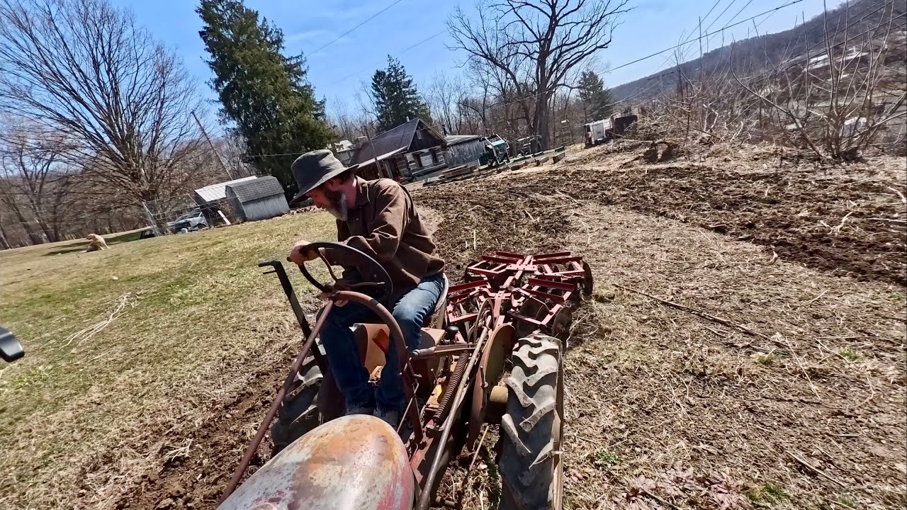 Early weed control with 1949 farmall Cub and disk