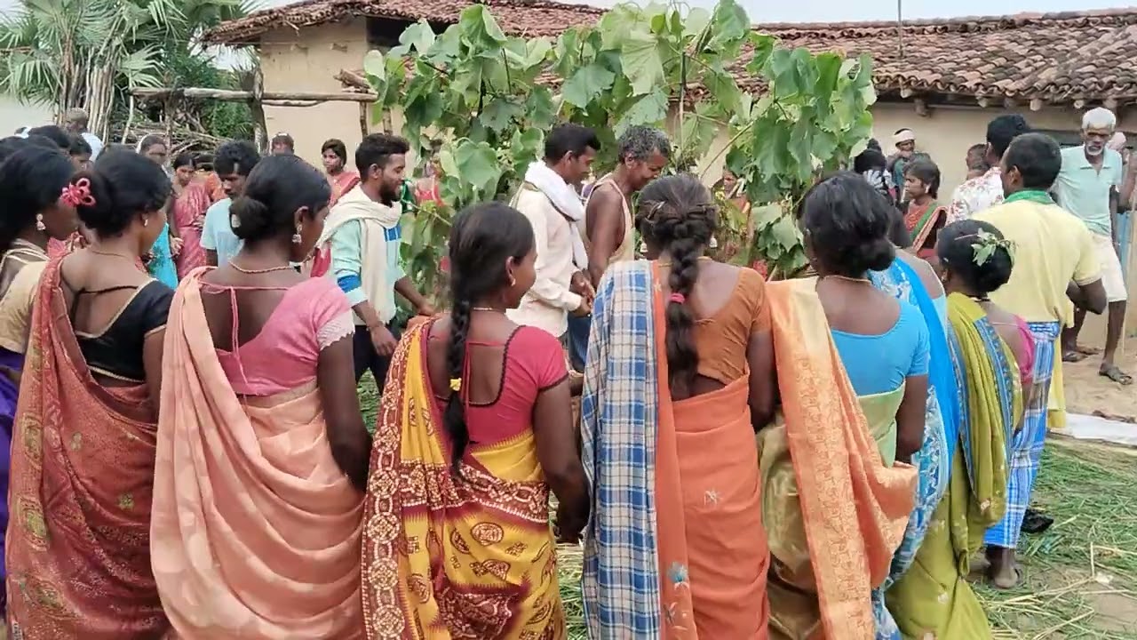 Santhali Video Bihar Mahengro Karma puja 9/09/2025 Camera men Suresh Tudu Official