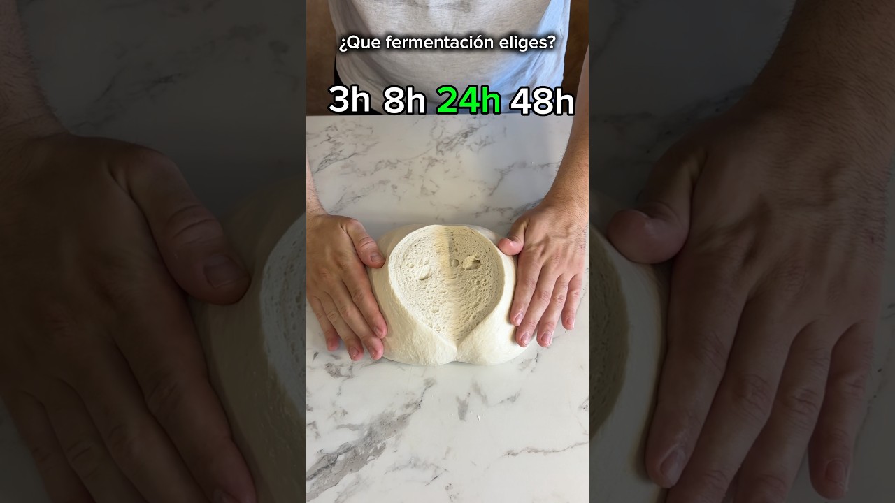 Que fermentaci&oacute;n para pizza eliges?