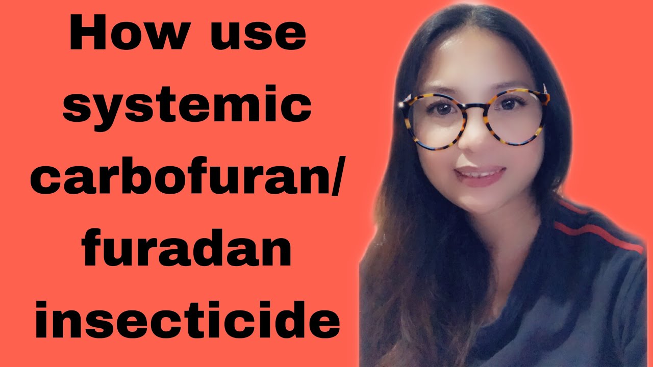 Paano gamitin ang systemic carbofuran insecticide ||@Anna Lissa Vlog