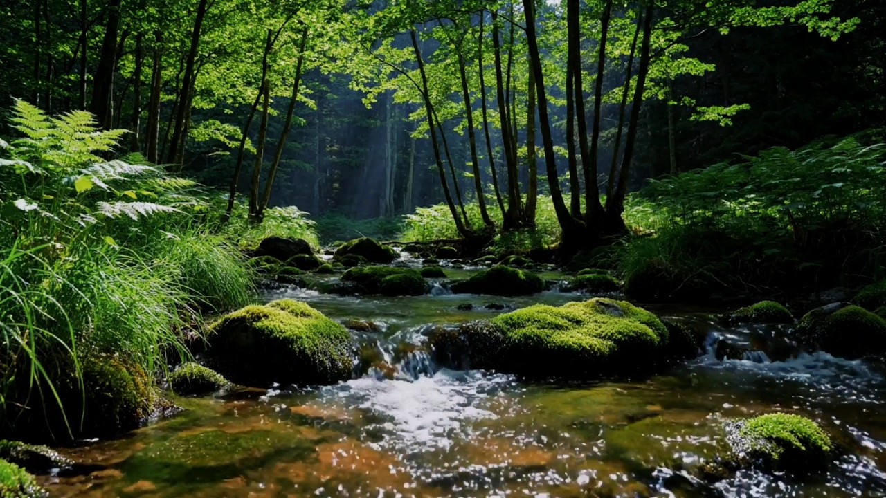 Relaxing River Sounds for Sleep 🌊 Deep Stress Relief & Natural White Noise (No Music)