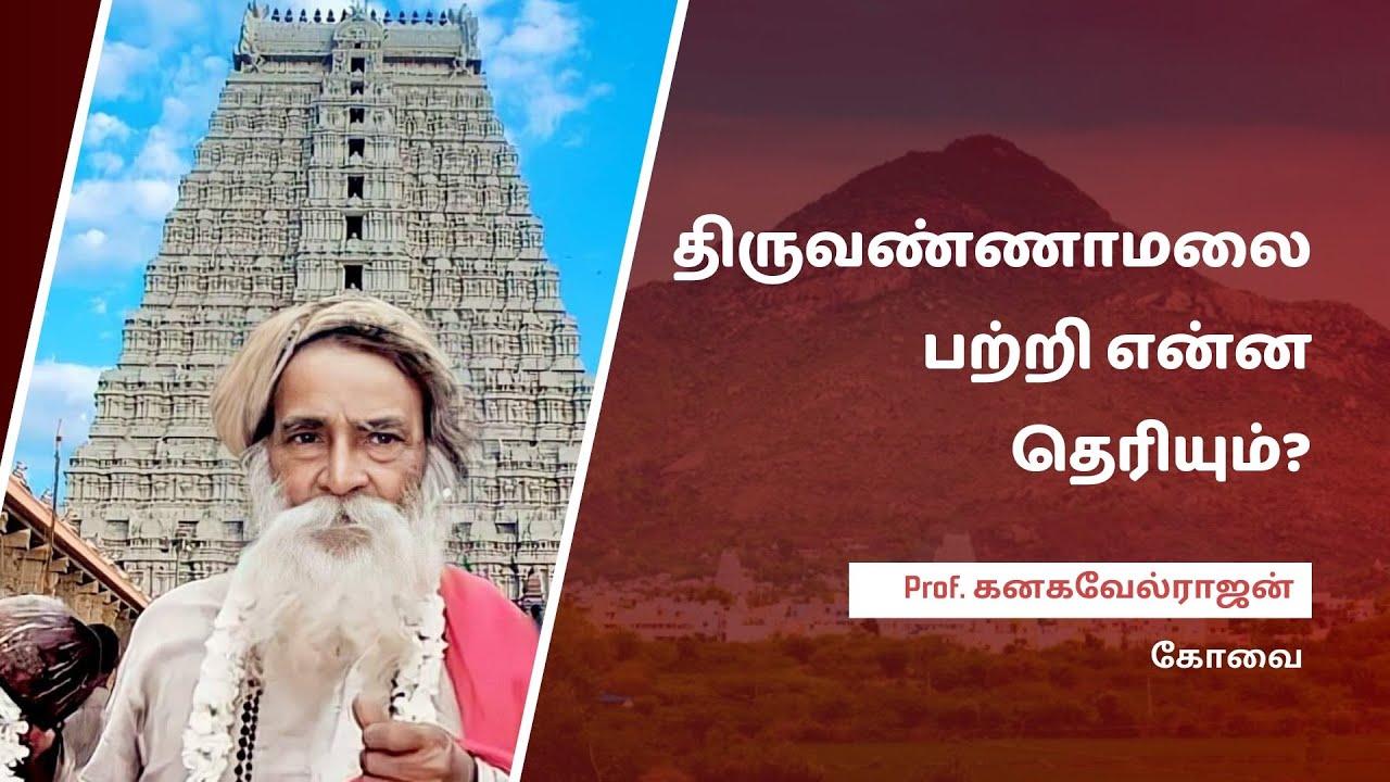 92. Experience with Yogi Ramsuratkumar - Prof. Kanagavelrajan - Coimbatore #yogiramsuratkumar