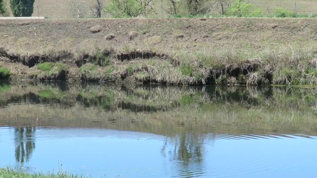 Flyfishing to Monaro Browns