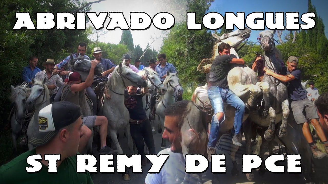 ST REMY DE Pce Abrivado Longues 1516-08-2020 🐴