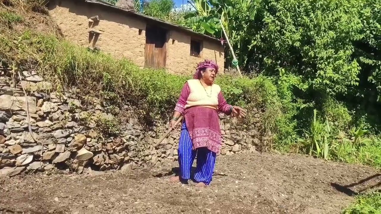 खेत में दीदी भुला की नोक झोंक
