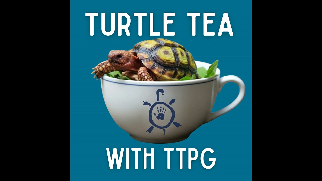 Padlopers: Breeding for the Future of the Parrot-Beaked Tortoise