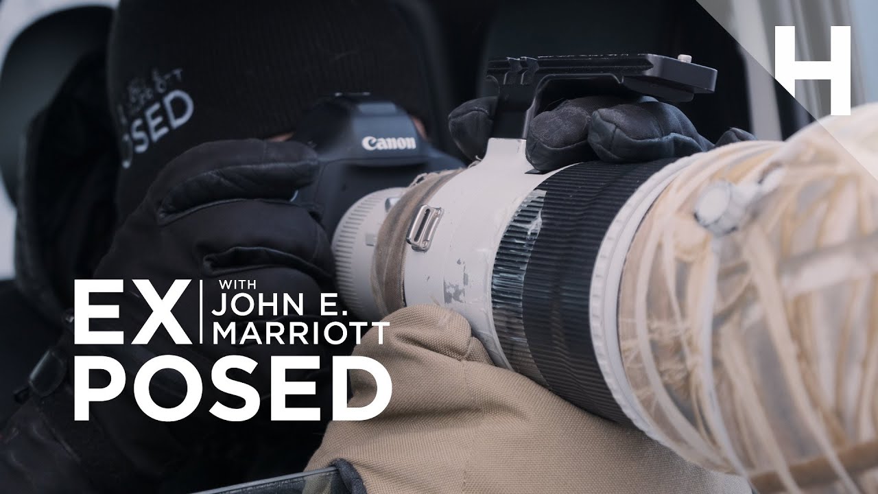Wildlife Photography 101 | Bean Bag Basics How-To