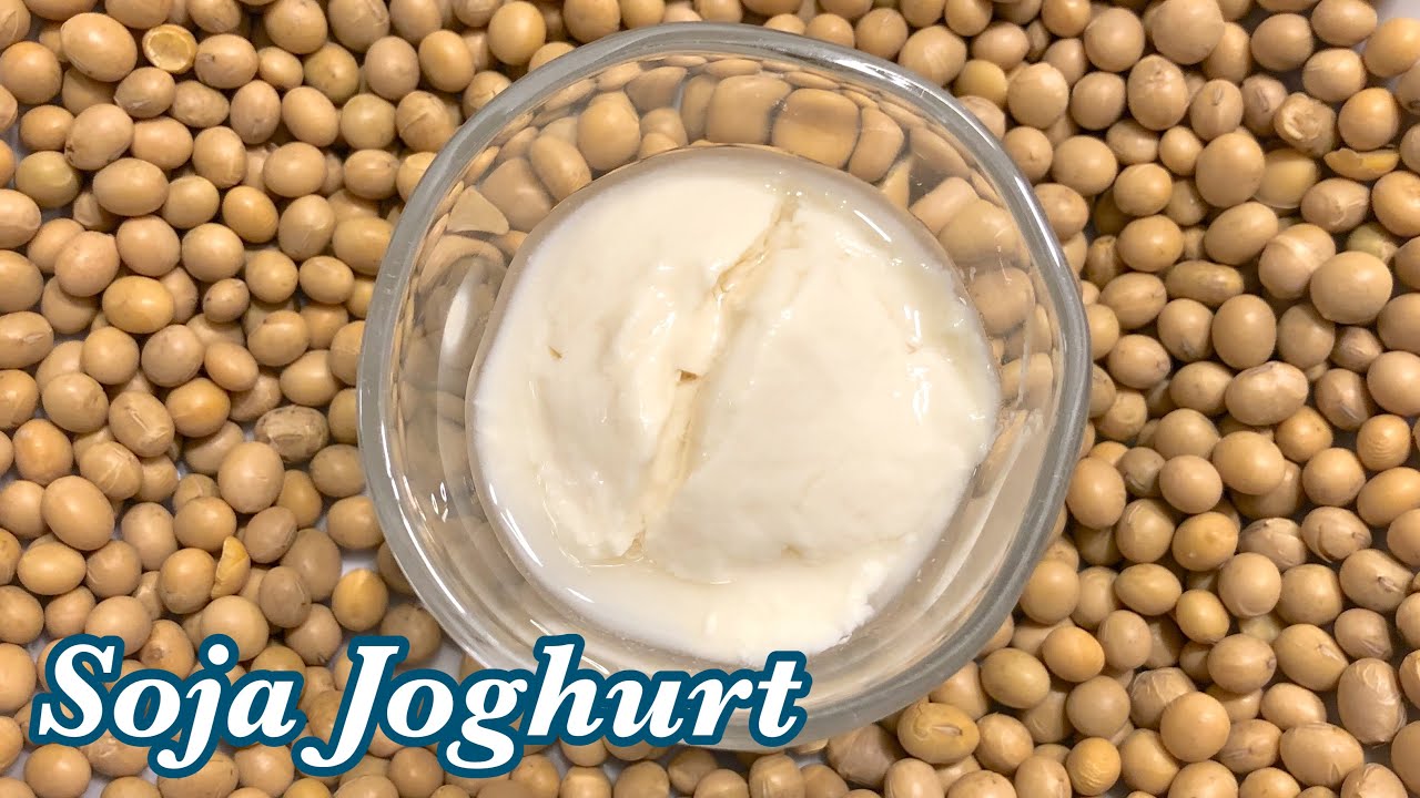 [Vegan] Soja-Joghurt richtig selber machen / 豆乳のヨーグルトの作り方