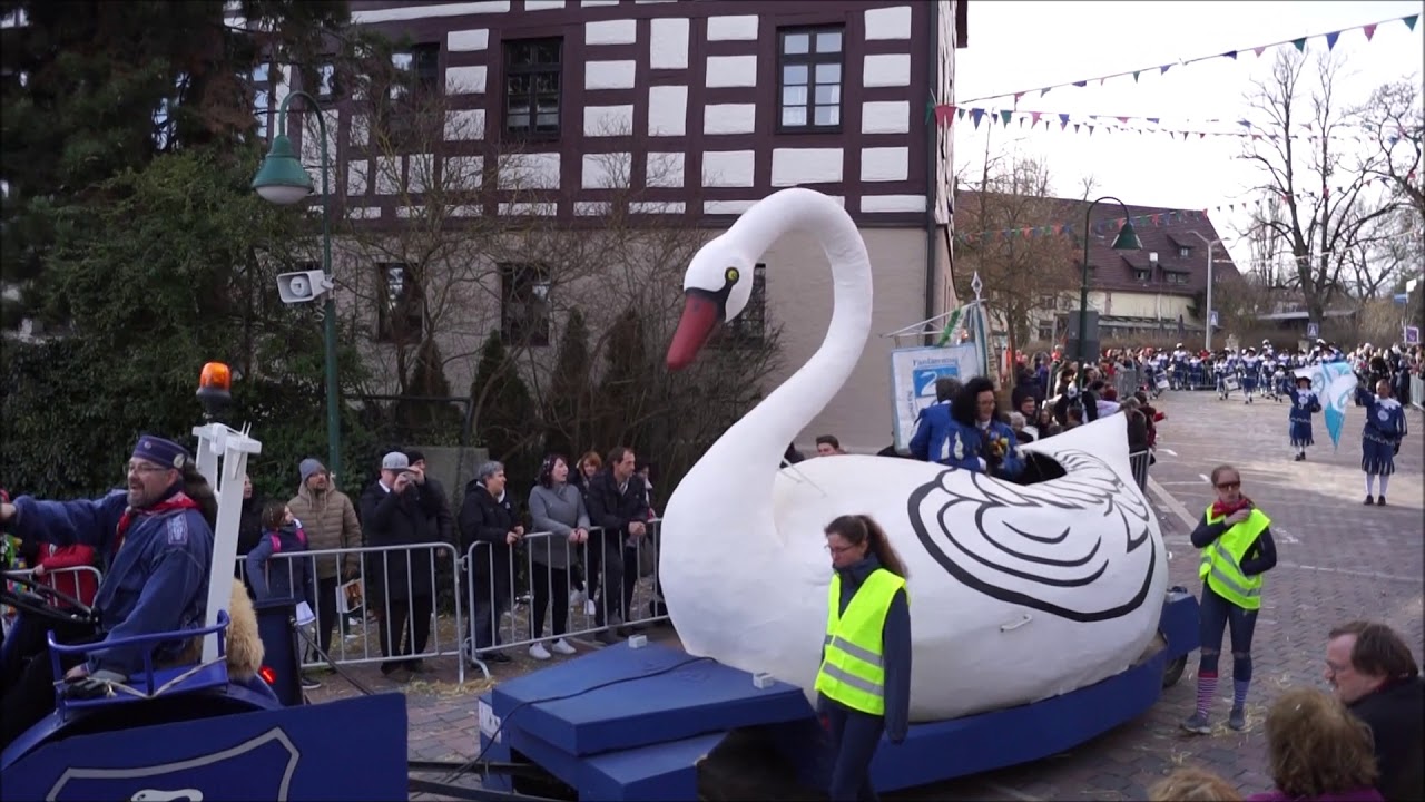 Narrenzunft Schwenningen Umzug  03.03.2019 Narri-Narro!