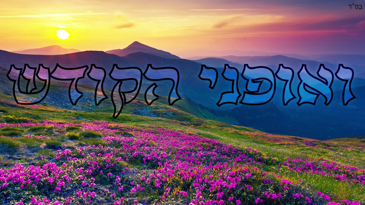 אל אדון על כל המעשים