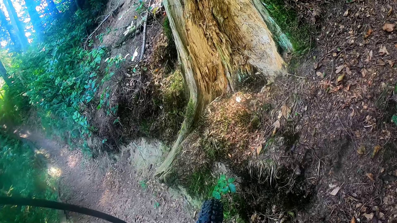 MTB JUST 4 FUN - Fürti Trail (First Time)