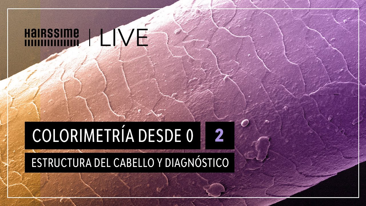 Colorimetría desde 0 - 2: Estructura del cabello y diagnóstico