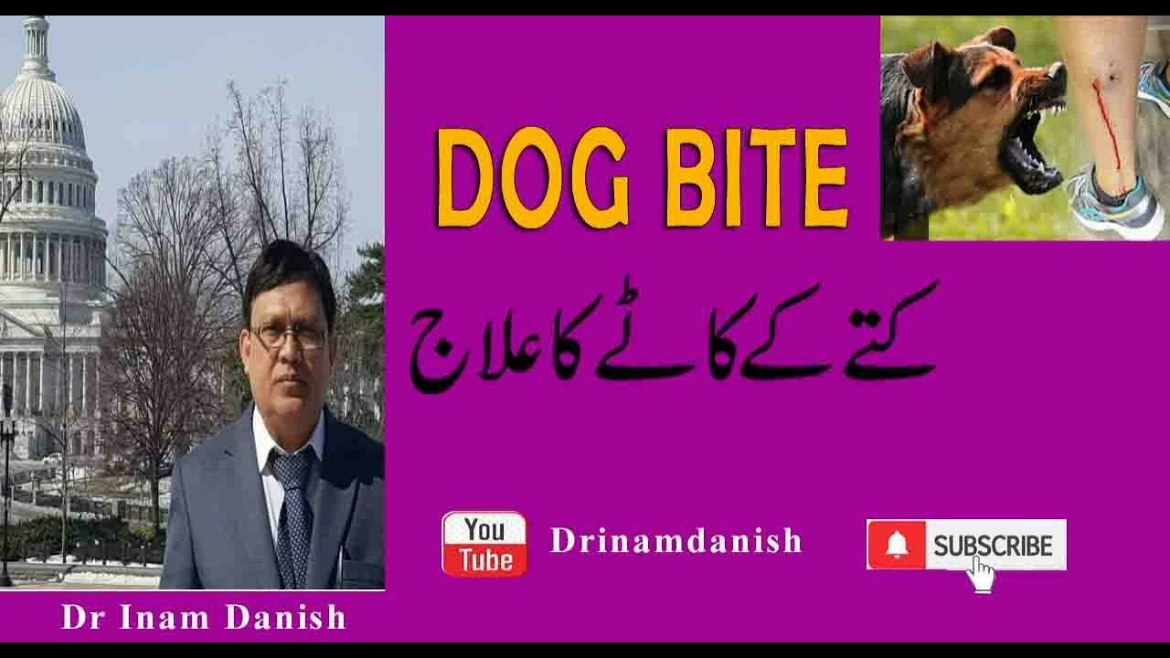 Dog Bite In Urdu & Hindi #کتے کے کاٹنے