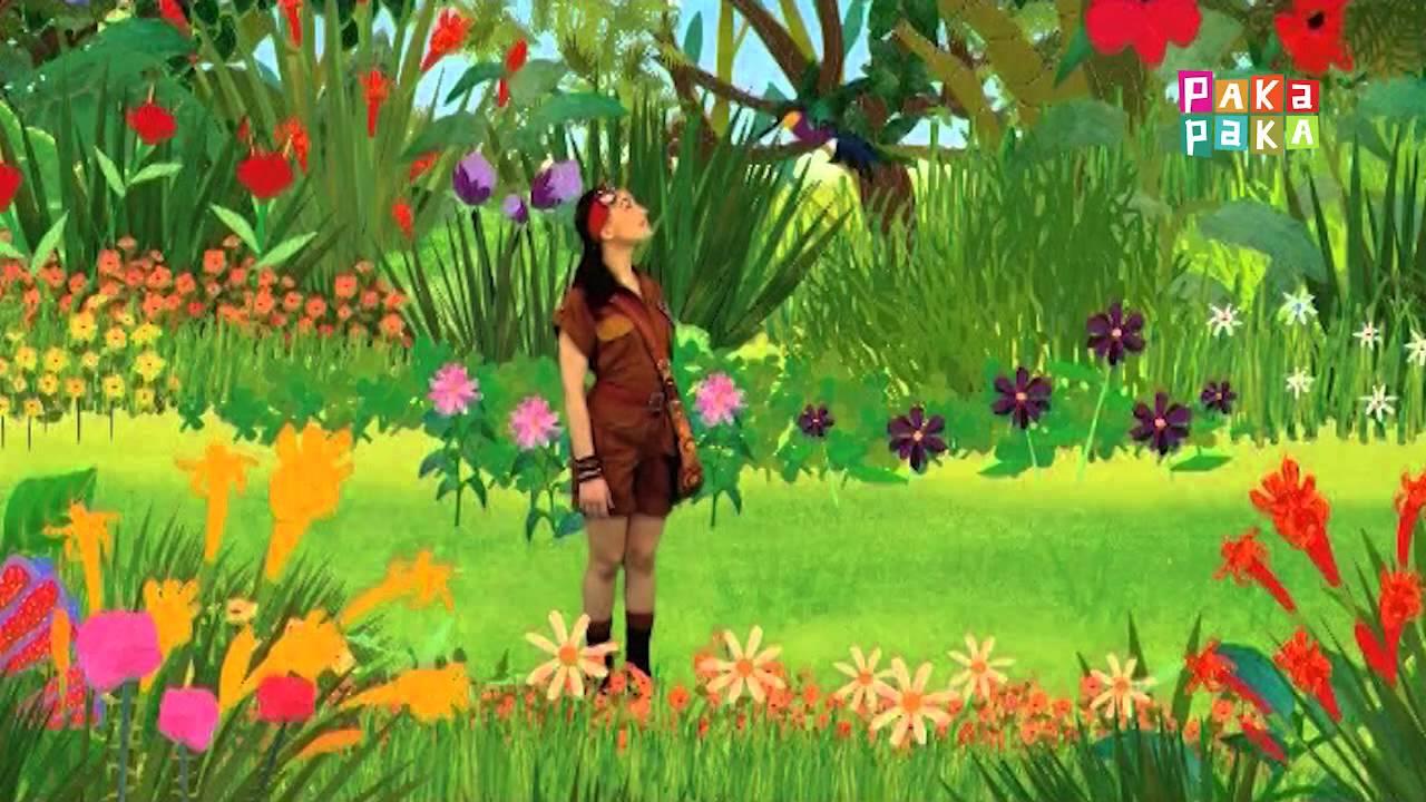 Animapaka II: Colibrí (Cap. 26) - Canal Pakapaka