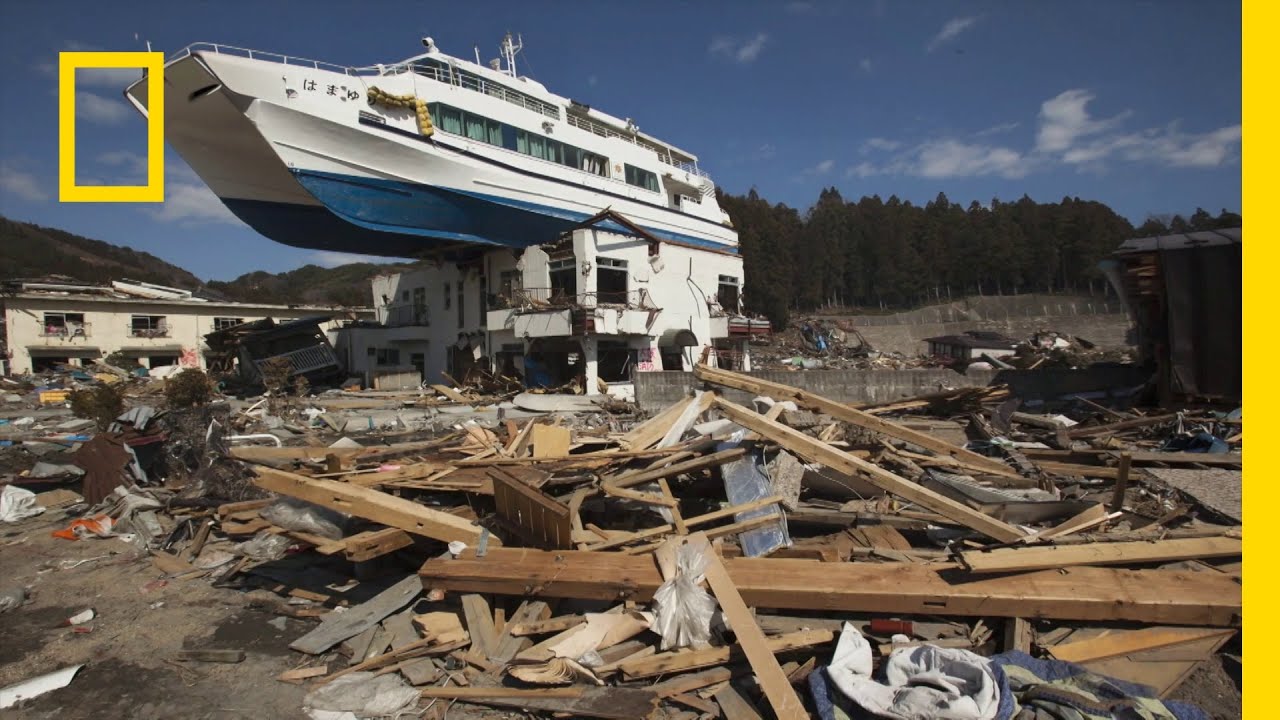 Wstrząsy wywołały tsunami, kt&oacute;re sterroryzowało Japonię! | W pułapce żywioł&oacute;w